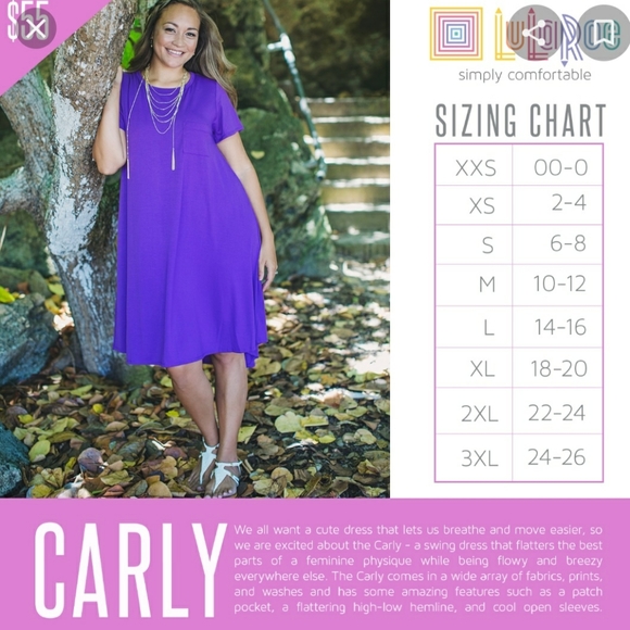 🚫SOLD🚫Lularoe Red Flowered 'Carly' Swing Dress - Picture 7 of 7